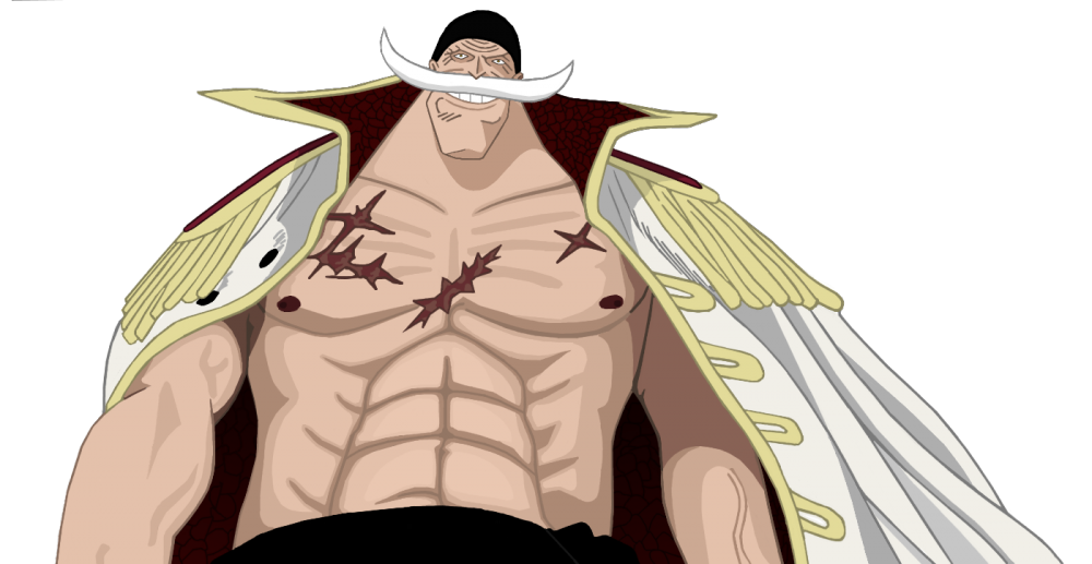 Whitebeard (groß).png