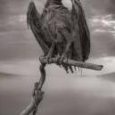 Der_Belzebub