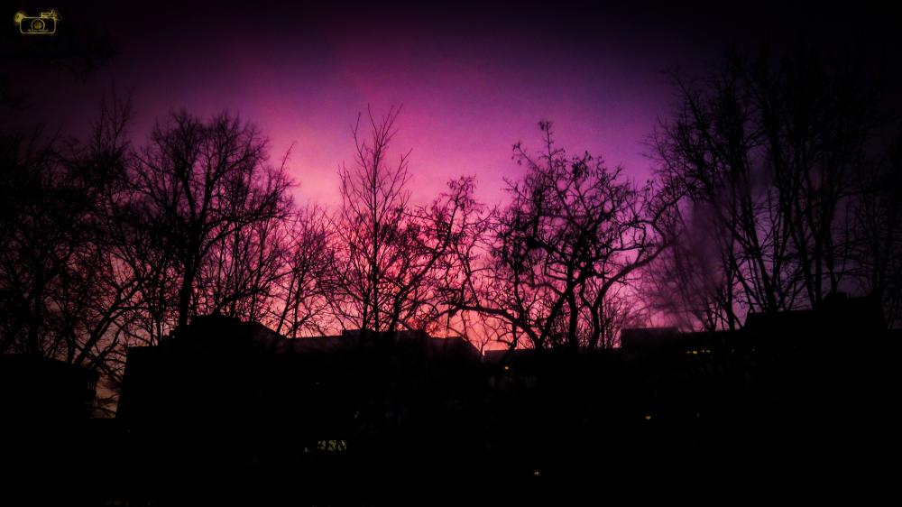 Puprle Sky #1212.jpg