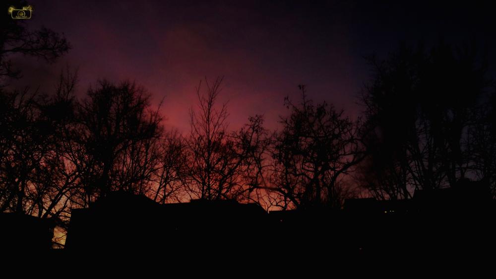 Purple Sky #1111.JPG