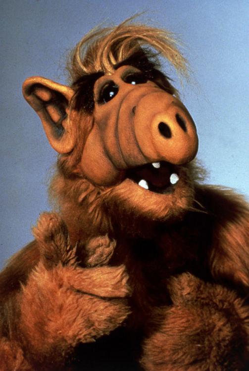 alf-die-fernsehserie.jpg