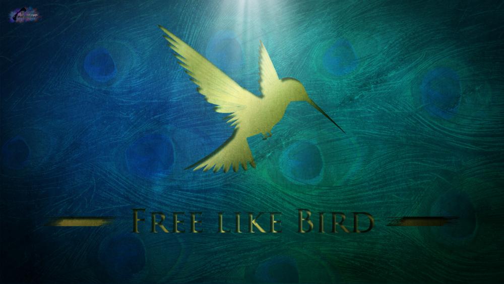 Free Like Bird Wallpaper #2222.jpg