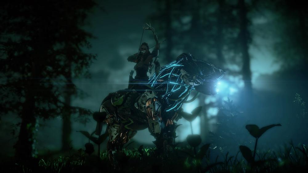 HorizonZeroDawn-11.thumb.jpg.b2540a5cc84b44552411dbb27091ff64.jpg