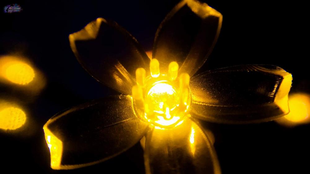 LED Blume #1111.jpg