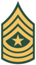 US_Army_OR-9.png.1ef227b064b82a2ef6f5f201e9e5cd5f.png