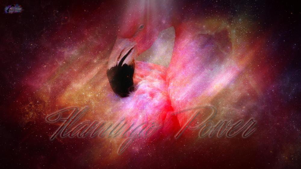 Flamingo Wallpaper #2222.jpg