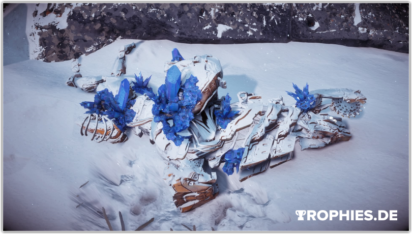 blauglanz - beispielbild.png