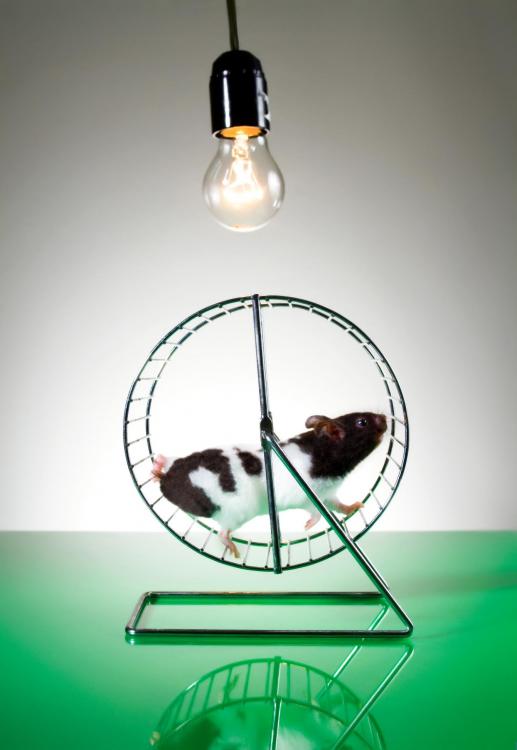 !fotolia_51686348_hamsterrad.thumb.jpg.94610f220189abe24017b45fbb330857.jpg