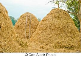 heuhaufen-stock-bilder_csp16409353.jpg.55331af6627572e82d7babd0b719e6c3.jpg