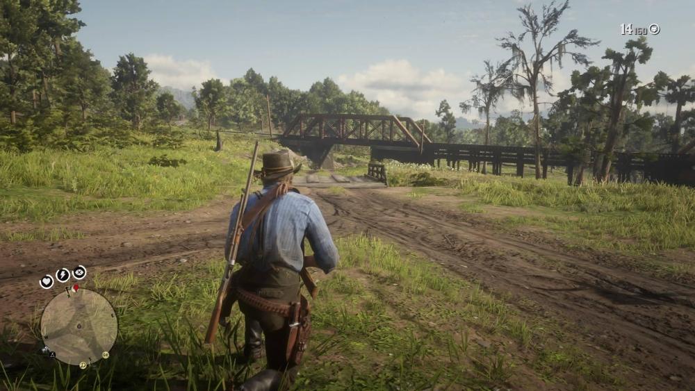 baltimore trupial3.jpg