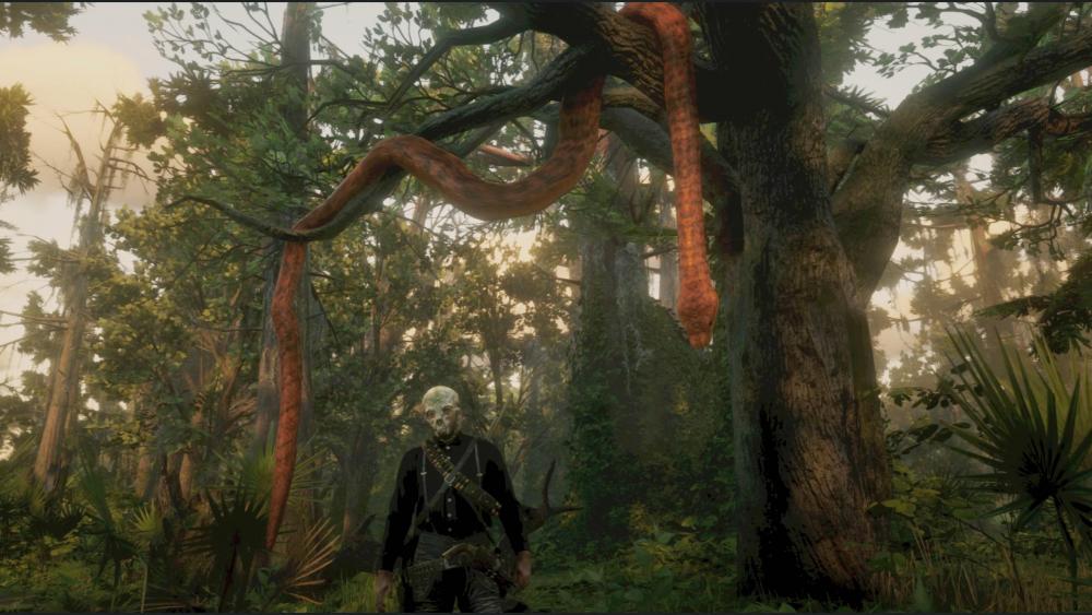 Red Dead Redemption 2_20181103123501.jpg