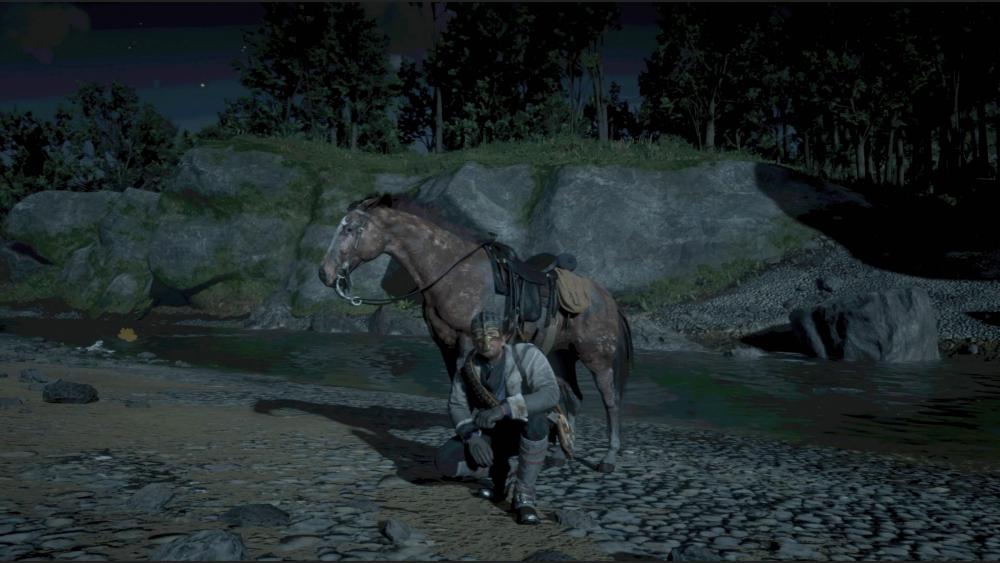 Red Dead Redemption 2_20181106223445.jpg