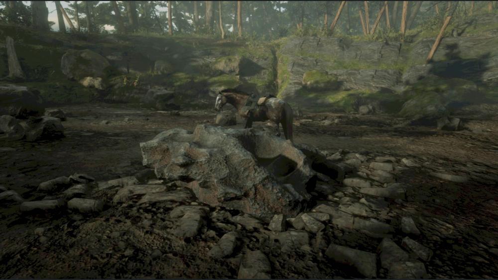 Red Dead Redemption 2_20181106223333.jpg