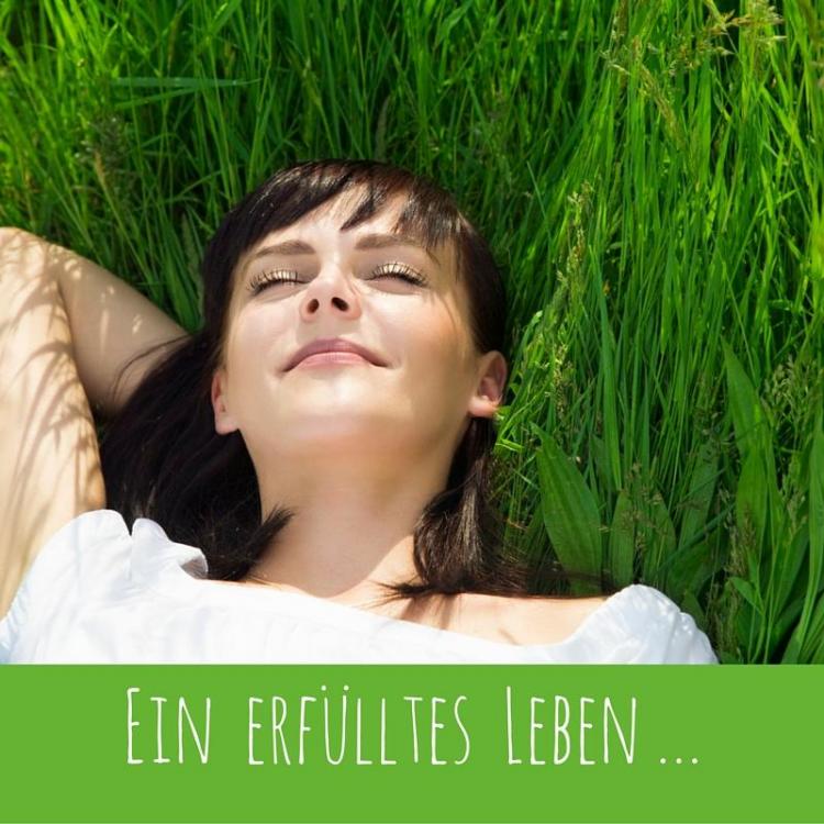 anleitung-fur-ein-erfulltes-leben.jpg