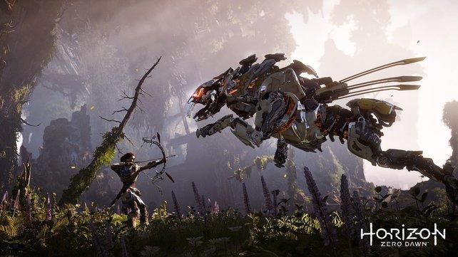 Horizon Zero Dawn 2 aus Versehen bestätigt?
