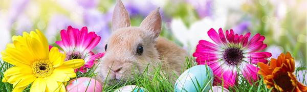 Ostern kommt dieses Jahr früher!
