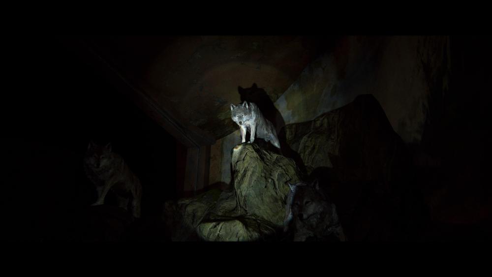 The Last of Us™ Part II_20200625140600.jpg