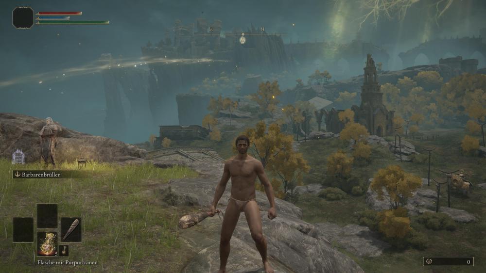 ELDEN RING™_20220225134851.jpg