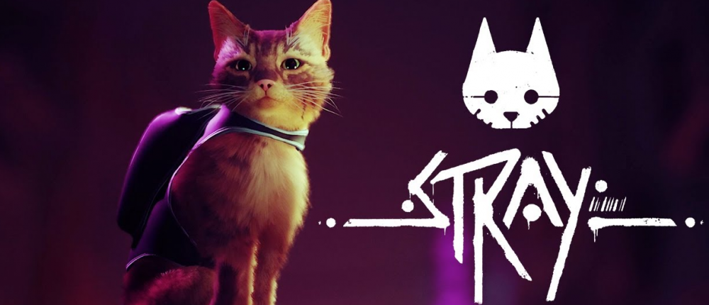 Stray erscheint im Sommer 2022
