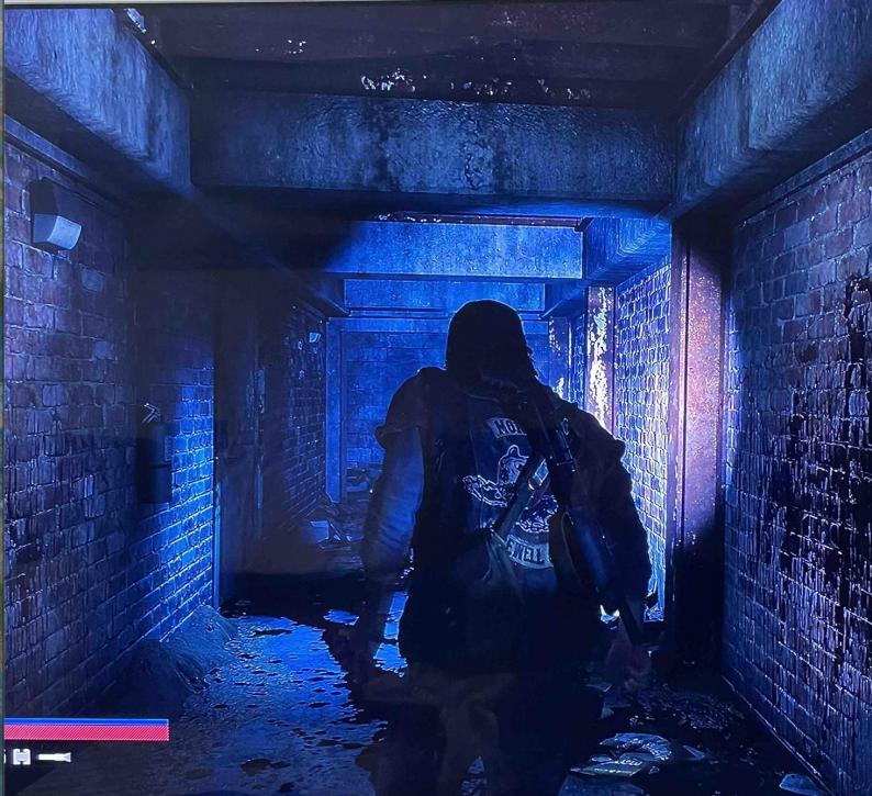 Bildschirmfoto 2022-06-02 um 16.12.43.jpg