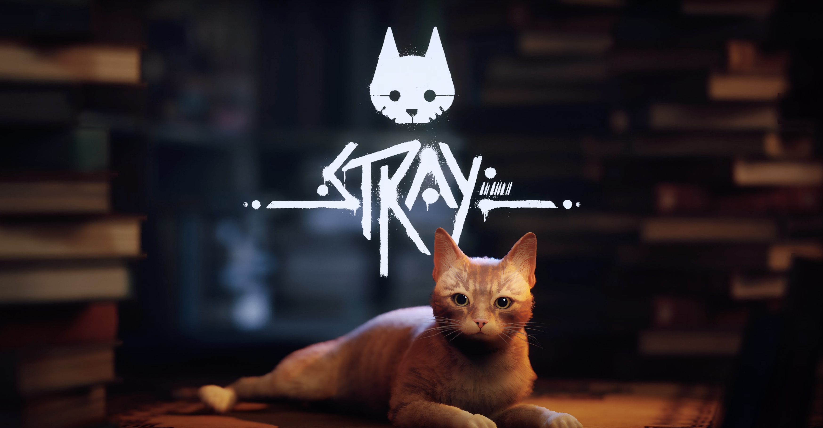 Stray erscheint am 19. Juli 2022