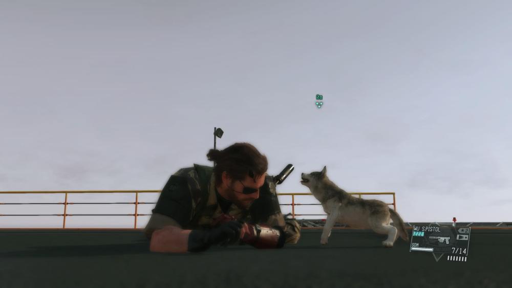 1954314248_MGSV01.thumb.jpg.0e14823775298a991e184492ceb18278.jpg