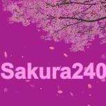 Sakura-24