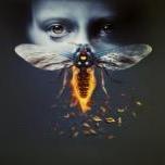 FIRERFLY